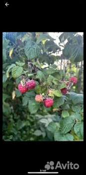 Дача 50м², 2-этажный, участок 6 сот.