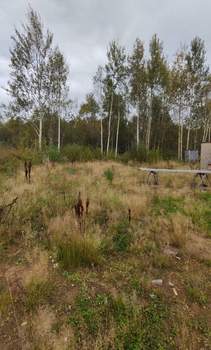 Дом 100м², 1-этажный, участок 8 сот.