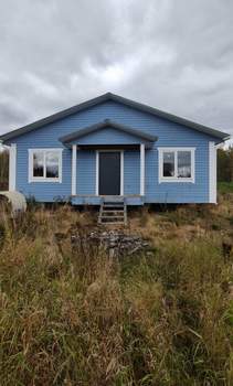 Дом 100м², 1-этажный, участок 8 сот.