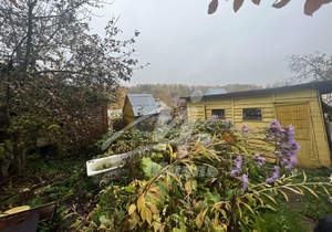 Дача 31м², 2-этажный, участок 5 сот.