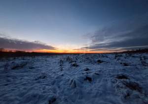 Дом 50м², 2-этажный, участок 797 сот.  