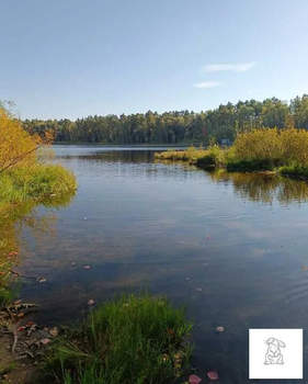 Дача 90м², 2-этажный, участок 8 сот.  