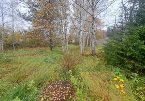 Дом 70м&sup2;, 2-этажный, участок 12 сот.  