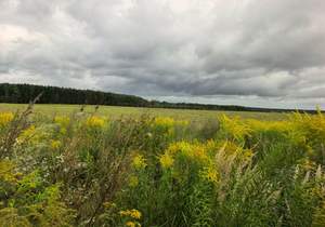 Дом 300м², 2-этажный, участок 15 сот.  