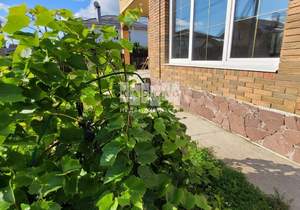 Дом 155м&sup2;, 2-этажный, участок 6 сот.  