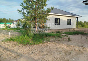Дом 101м&sup2;, 1-этажный, участок 6 сот.  