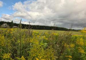 Дом 300м², 2-этажный, участок 15 сот.  