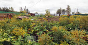 Дом 44м², 2-этажный, участок 8 сот.  