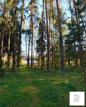 Дача 90м², 2-этажный, участок 8 сот.  