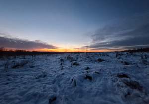 Дом 50м², 2-этажный, участок 797 сот.  