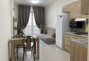 Студия квартира, на длительный срок, 29м2, 11/15 этаж