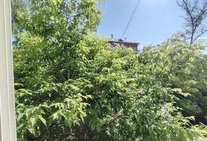 2-к квартира, вторичка, 58м2, 2/12 этаж